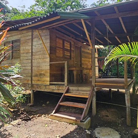 The Pelican House Hostel El Valle  외부 사진