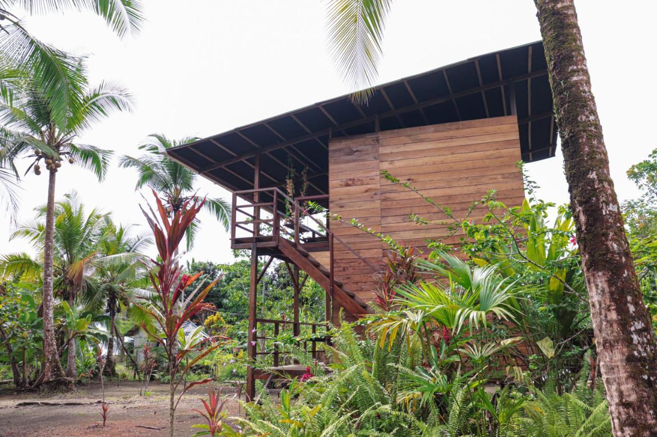 The Pelican House Hostel El Valle  외부 사진